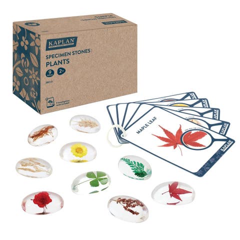 Specimen Stones Plants - 9 Pieces