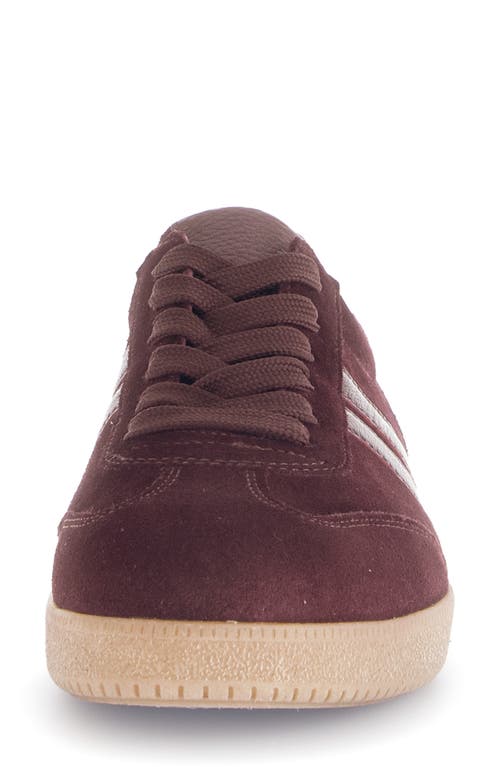 Gabor Stripe Low Top Sneaker In Burgundy