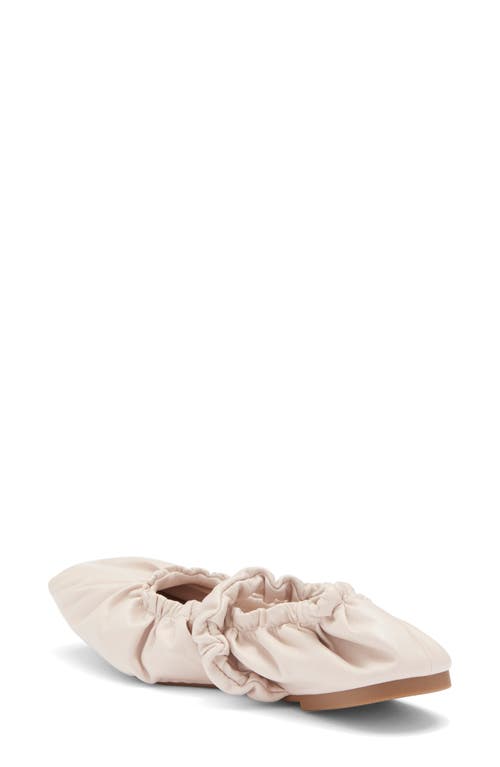 Steve Madden Yandy Ballet Flat In Bone