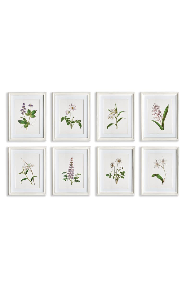 Napa Home & Garden Flowers In Bloom Petite Prints Set of 8, Main, color, Green