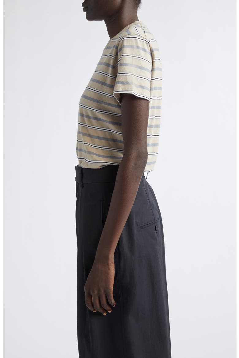 Kenzie Cotton T-Shirt, Alternate, color, ALMOND STRIPE