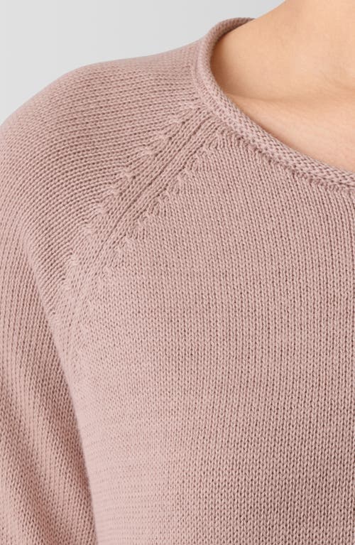 Eileen Fisher Raglan Sleeve Organic Cotton Blend Sweater In Neutral