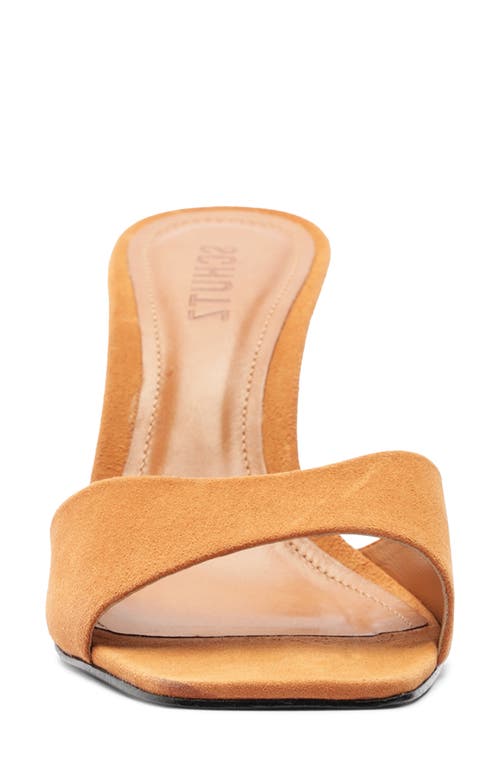 Schutz Posseni Slide Sandal In Brown