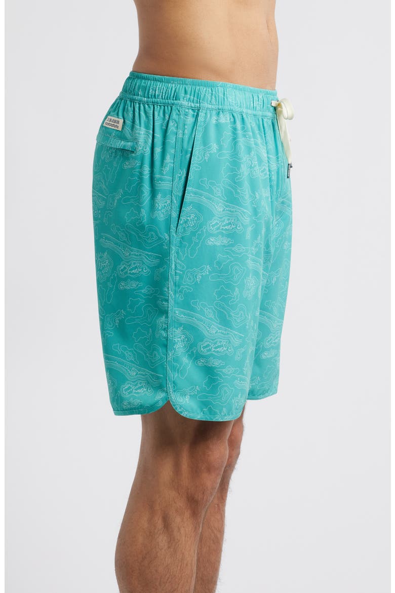 The Anchor Swim Trunks, Alternate, color, AQUA