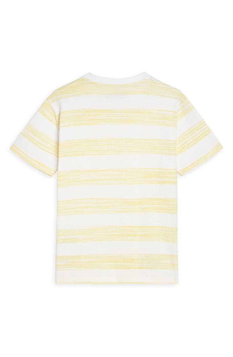 Scotch & Soda Kids' Crewneck T-Shirt, Alternate, color, Bright White