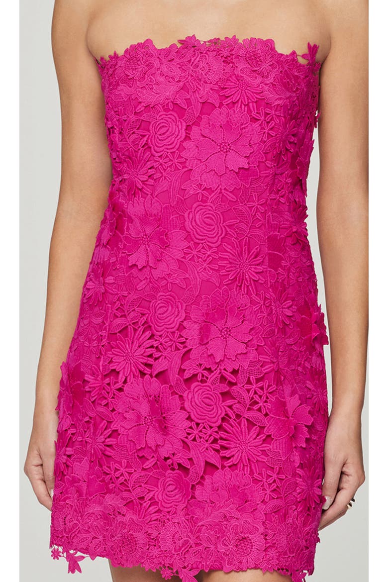 Lydia 3D Lace Dress, Alternate, color, Hibiscus