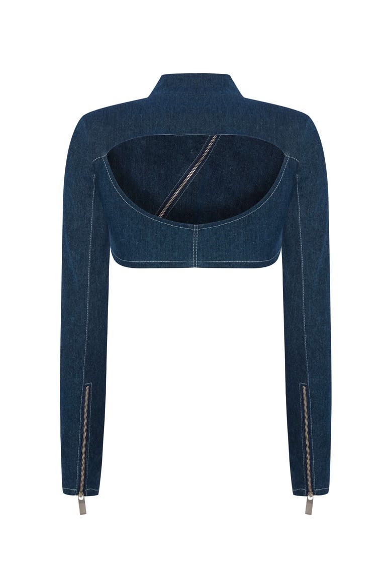 Spin Denim Jacket, Alternate, color, Blue