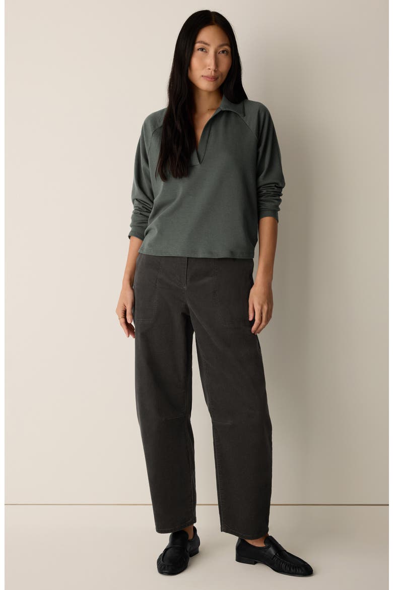 Raglan Sleeve Johnny Collar Knit Top, Alternate, color, SYLVAN