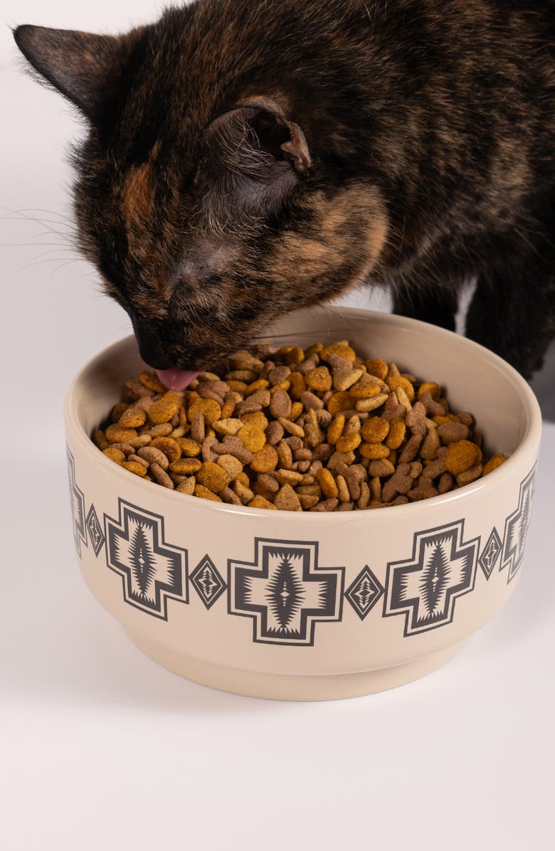 Pendleton Ceramic Pet Food Bowl, Alternate, color, Harding Natural