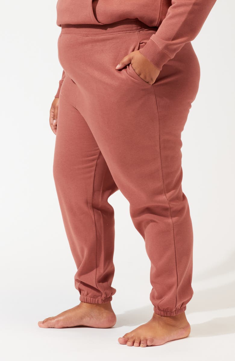 Threads 4 Thought Invincible Fleece Jogger, Alternate, color, Cinnamon