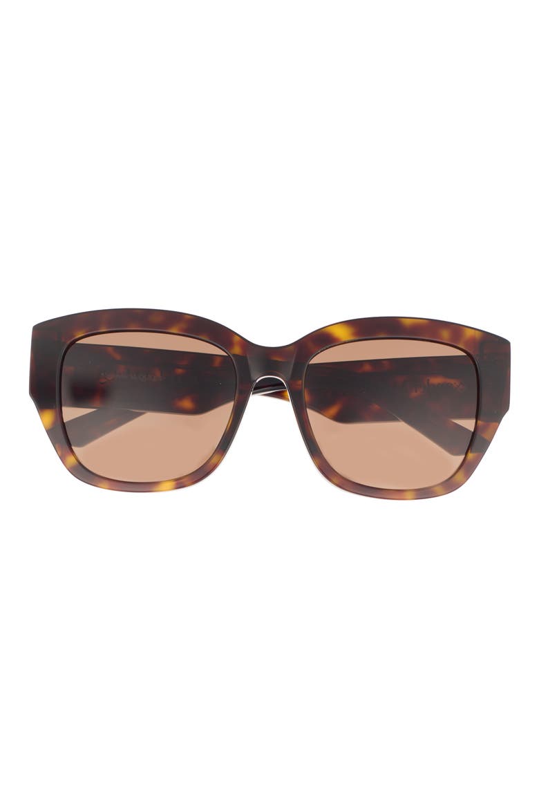 55mm Square Sunglasses, Main, color, HAVANA HAVANA BROWN