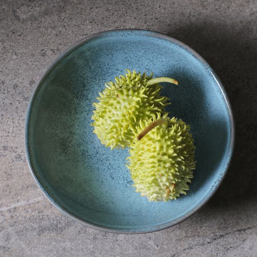 Porto Brasil Cereal Bowl Set Of 6 In Blue
