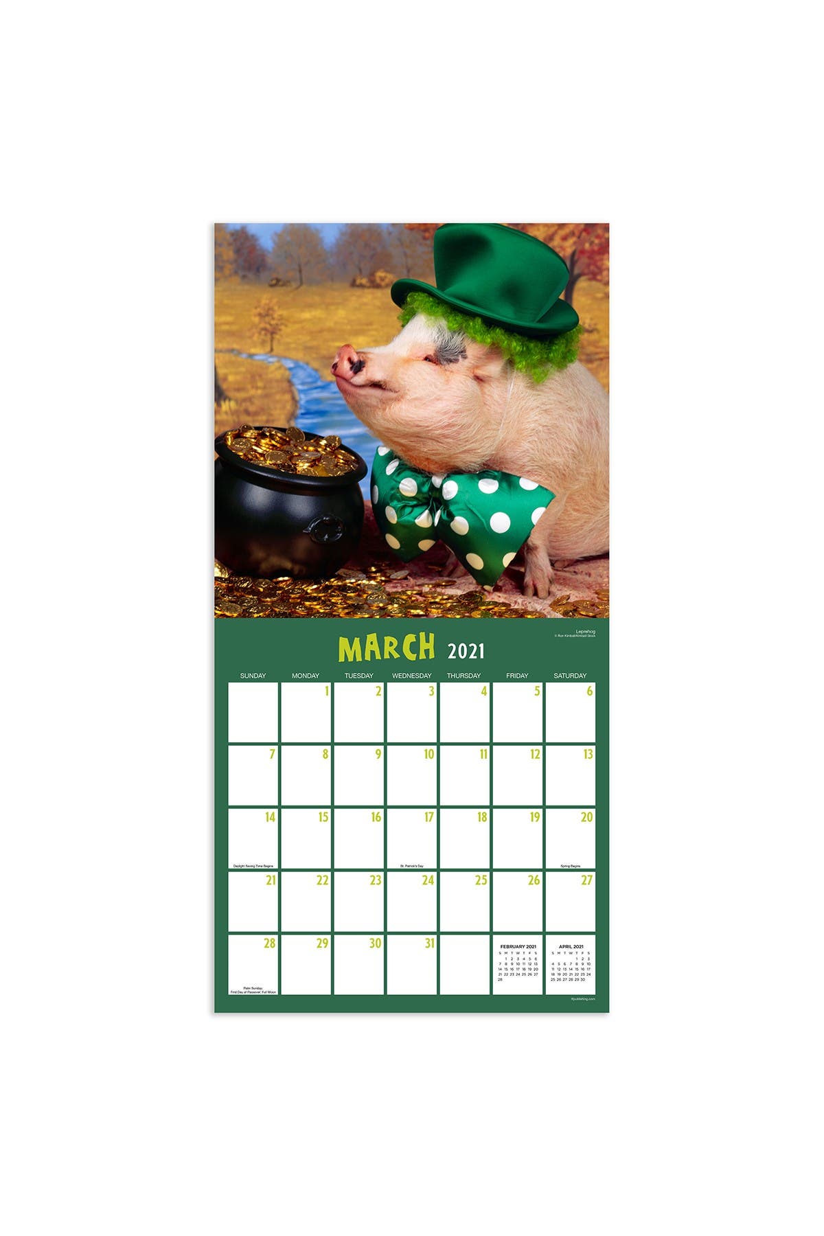TF PUBLISHING 2021 Playful Pigs Wall Calendar | Nordstromrack