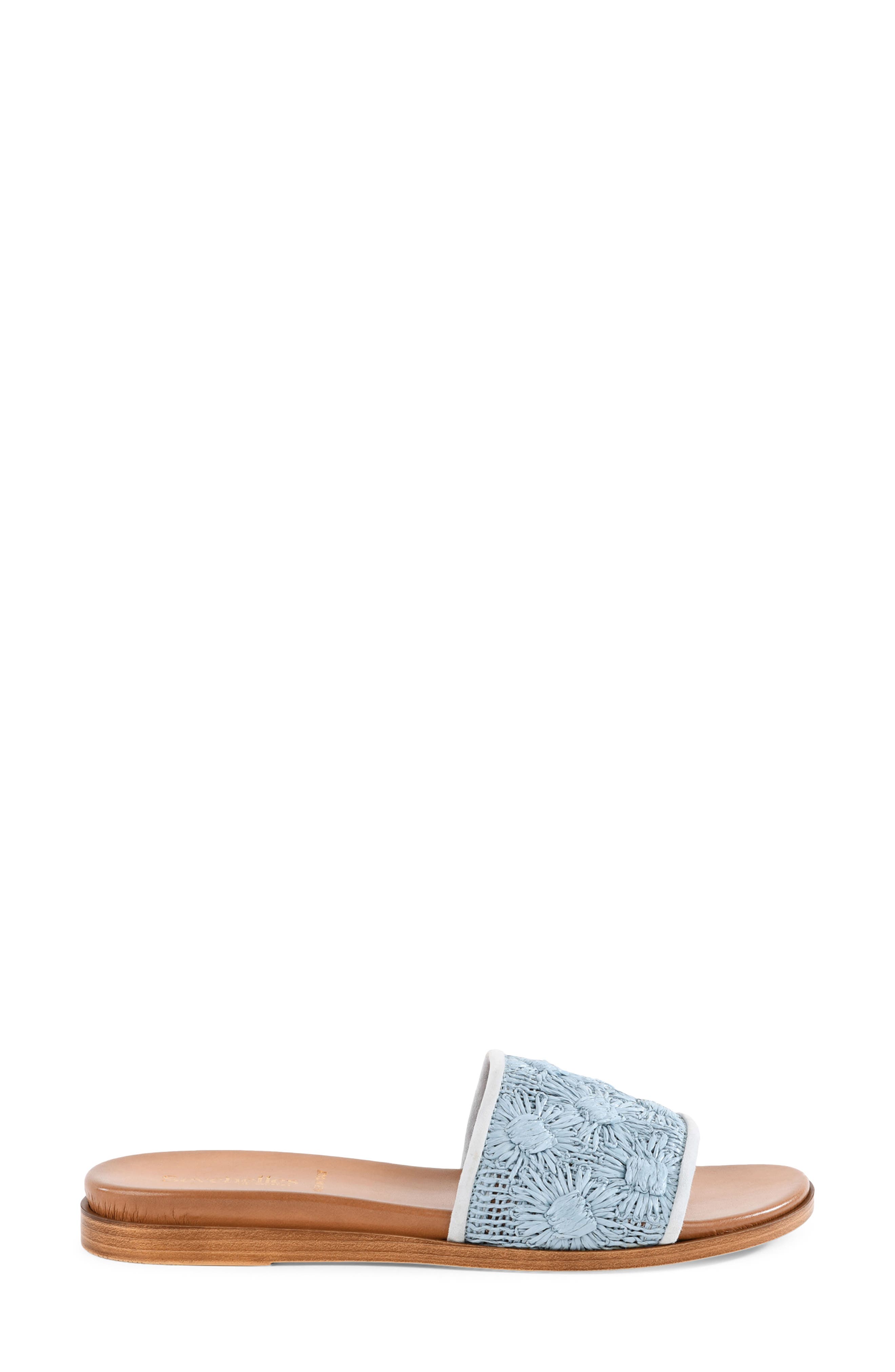 Dakota Slide Sandal, Alternate, color, BLUE