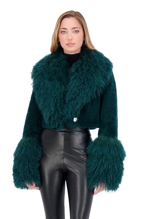 Gorski Cashmere Goat Shearling Crop Bolero Jacket With Mongolian Goat Fur Collar And Cuffs In Green