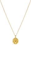 Atolea Sand Dollar Necklace