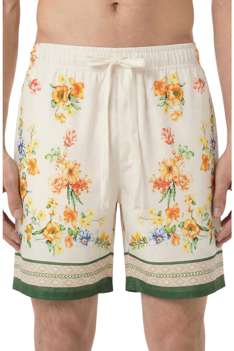 Orlan Shorts, Alternate, color, Multi