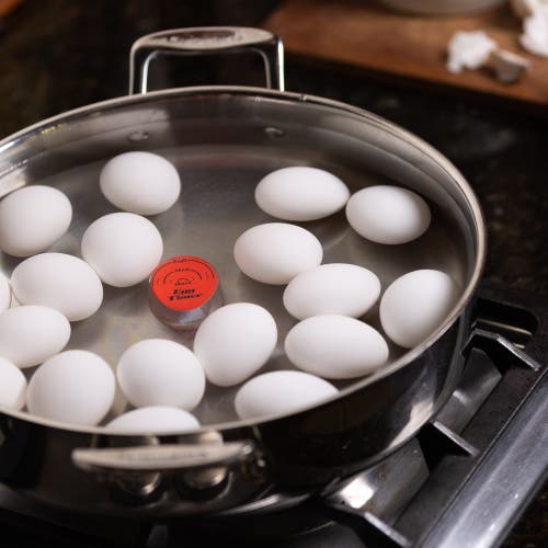 Maverick Color Changing Egg Timer In Multi