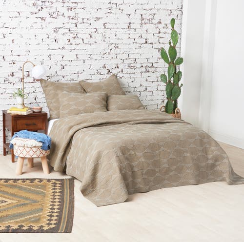 Carol & Frank Saunders Bedding In Brown