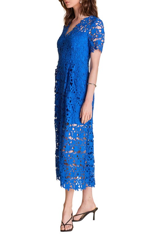 Shop Endless Rose Allover Lace Midi Dress
