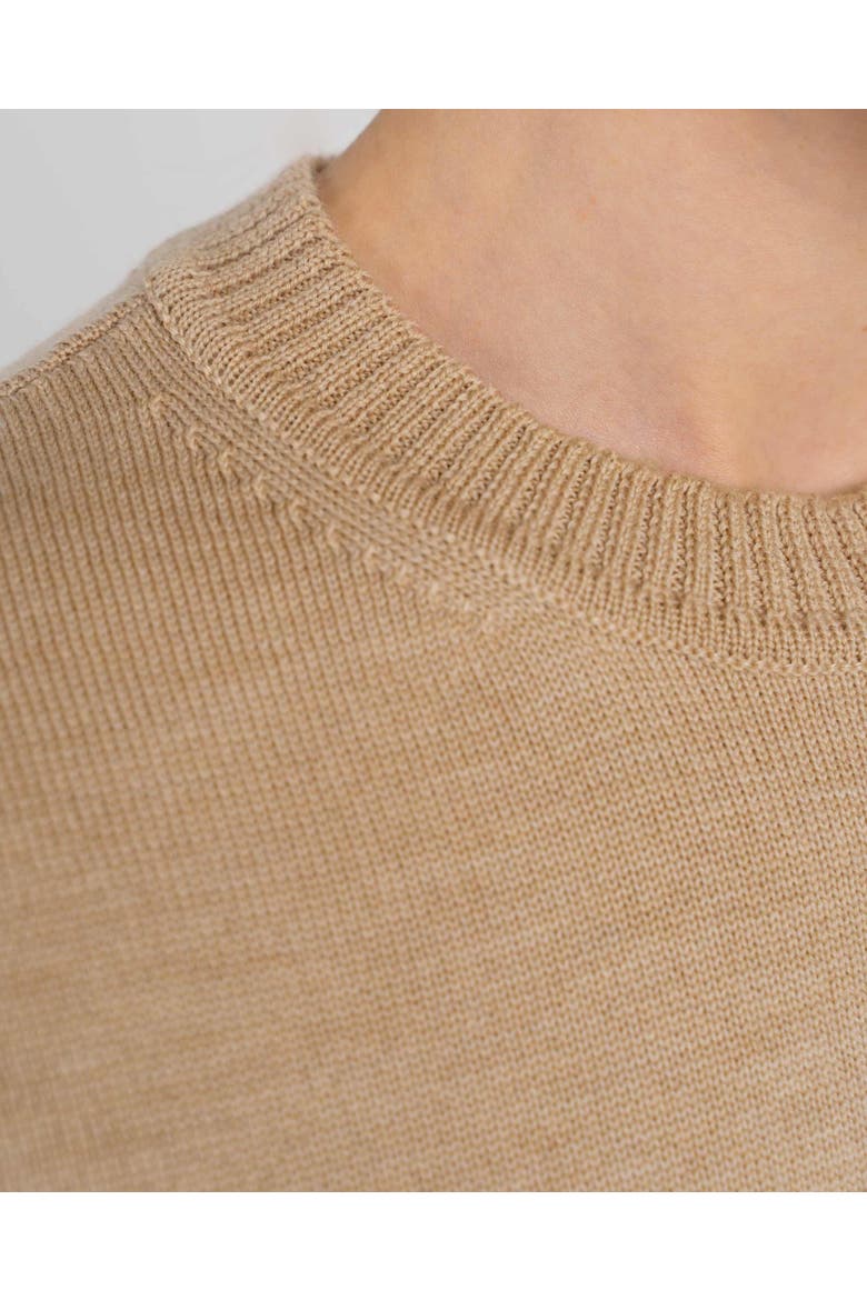 Minna Long Sleeve Crew Neck Sweater, Alternate, color, Soft Camel