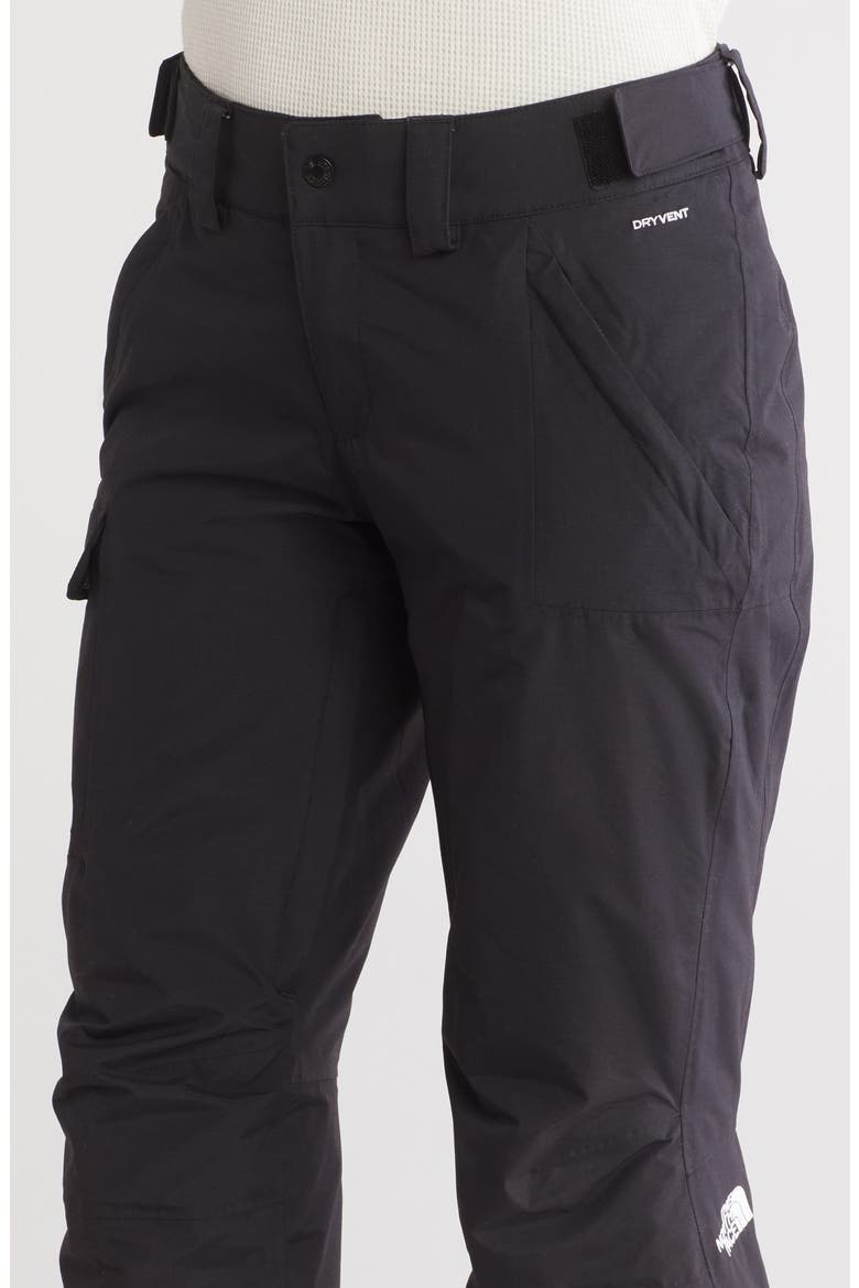 Freedom Waterproof Insulated Pants, Alternate, color, TNF BLACK-NPF