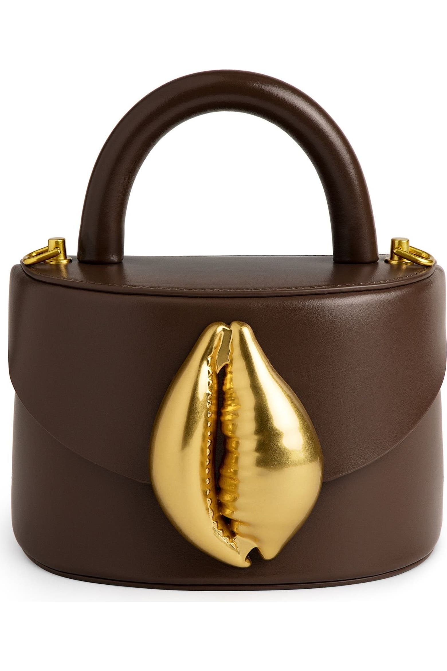 Shell Card Bild Flore K. Viera Cowrie Shell (Women) | Nordstrom