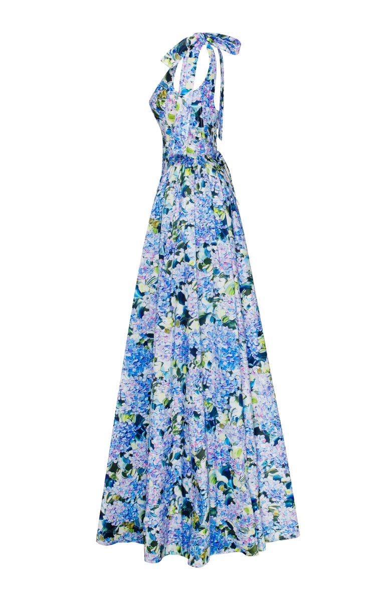 Milla A-Line Corset Taffeta Maxi Gown in Blue Hydrangea Print for Formal Occasions, Alternate, color, Blue Hydrangea