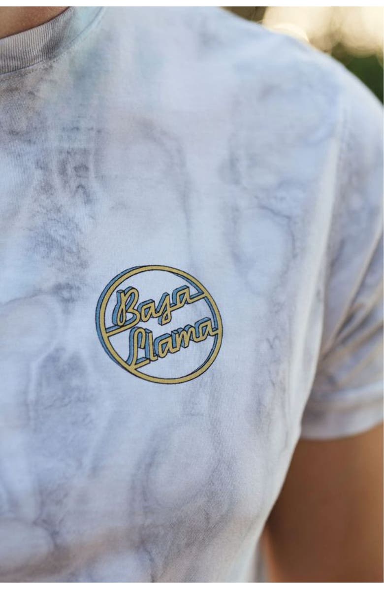Baja Llama 2 BEST FRIENDS - PRIMO GRAPHIC TEE, Alternate, color, Tie Dye