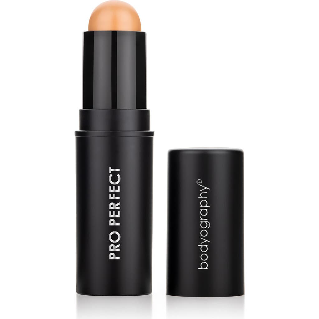 Shop Bodyography Pro Perfect Foundation Stick Cream -light/neutral Yellow 0.31oz In Honey