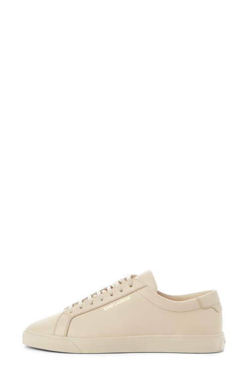 Saint Laurent Andy Low Top Sneaker In Neutral