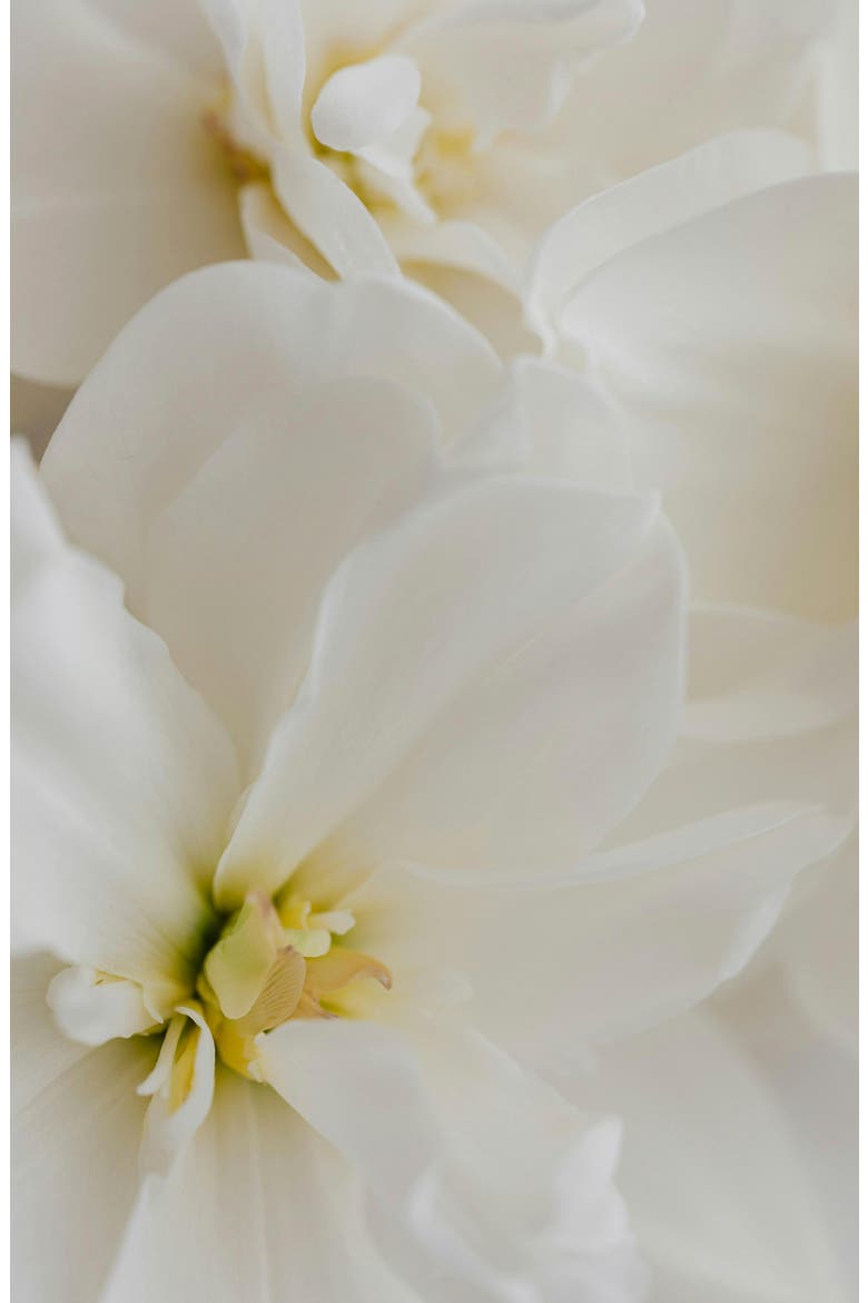 Fleur de Blonde Perfume Oil, Alternate, color, NO COLOR