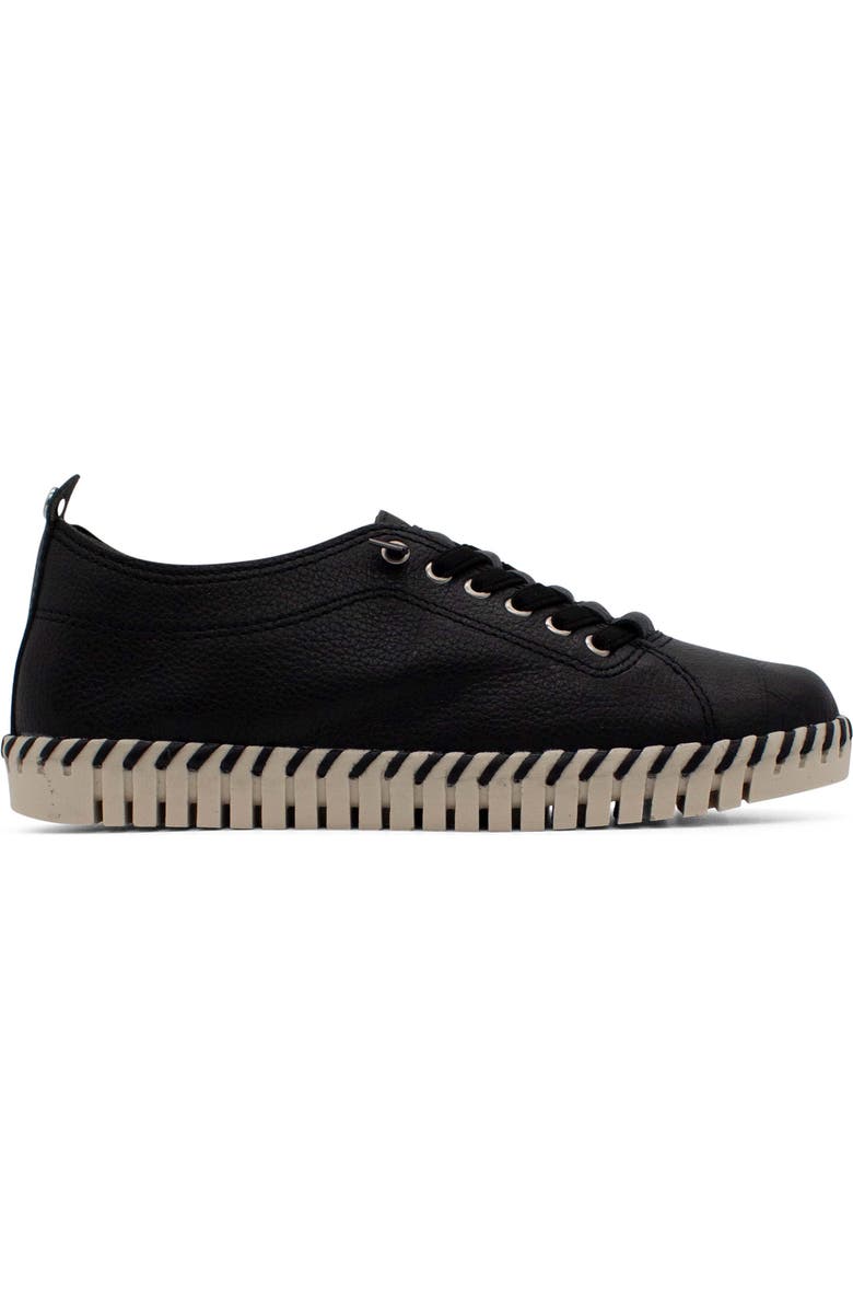 Bottero Bottwister Verao XXIII Sneaker, Alternate, color, Preto