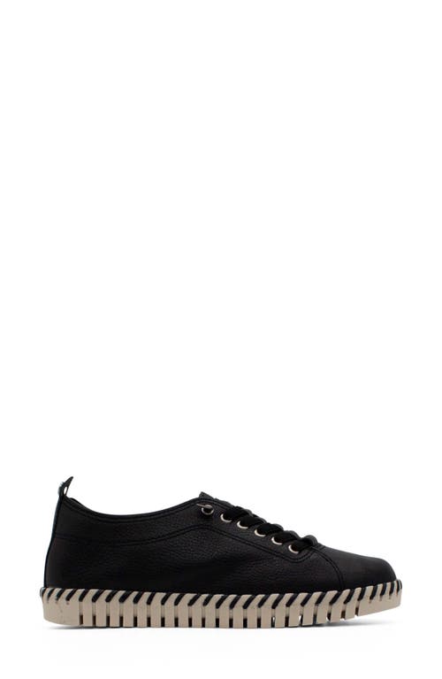 Bottero Bottwister Verao Xxiii Sneaker