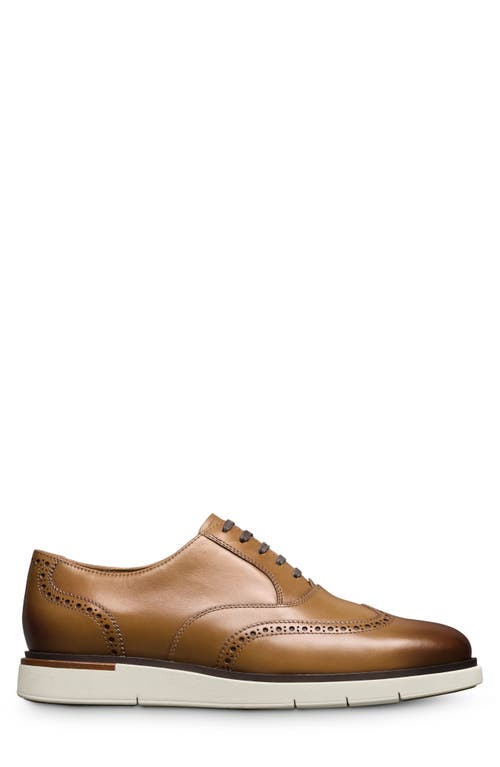 Allen Edmonds Carson Hybrid Wingtip Oxford In Walnut