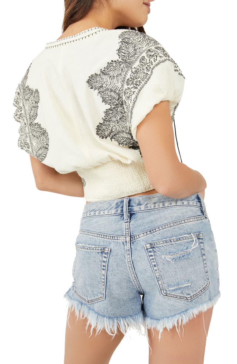 Free People Temecula Embroidered Cotton Top, Alternate, color, 