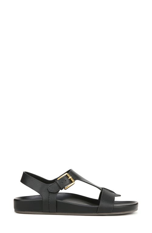 Franco Sarto Bellamy Sandal In Black