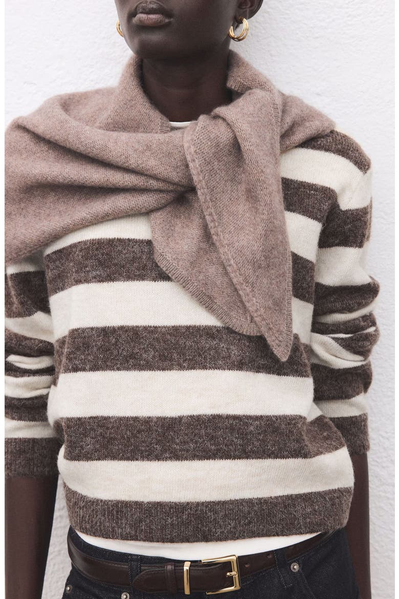 Stripe Crewneck Sweater, Alternate, color, BROWN