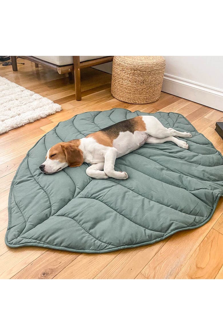 Leaf Shape Pet Blanket, Alternate, color, Elm Green