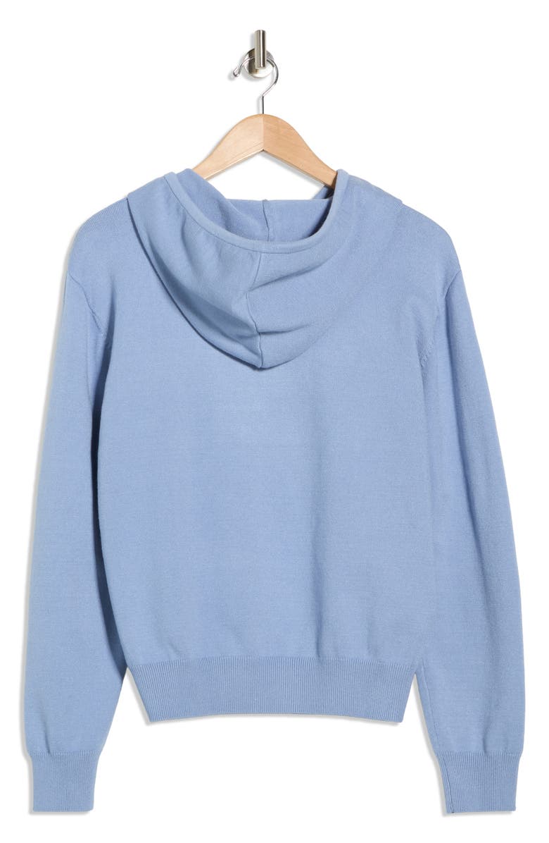 DR2 by Daniel Rainn Sea Hooded Sweater, Alternate, color, Blue