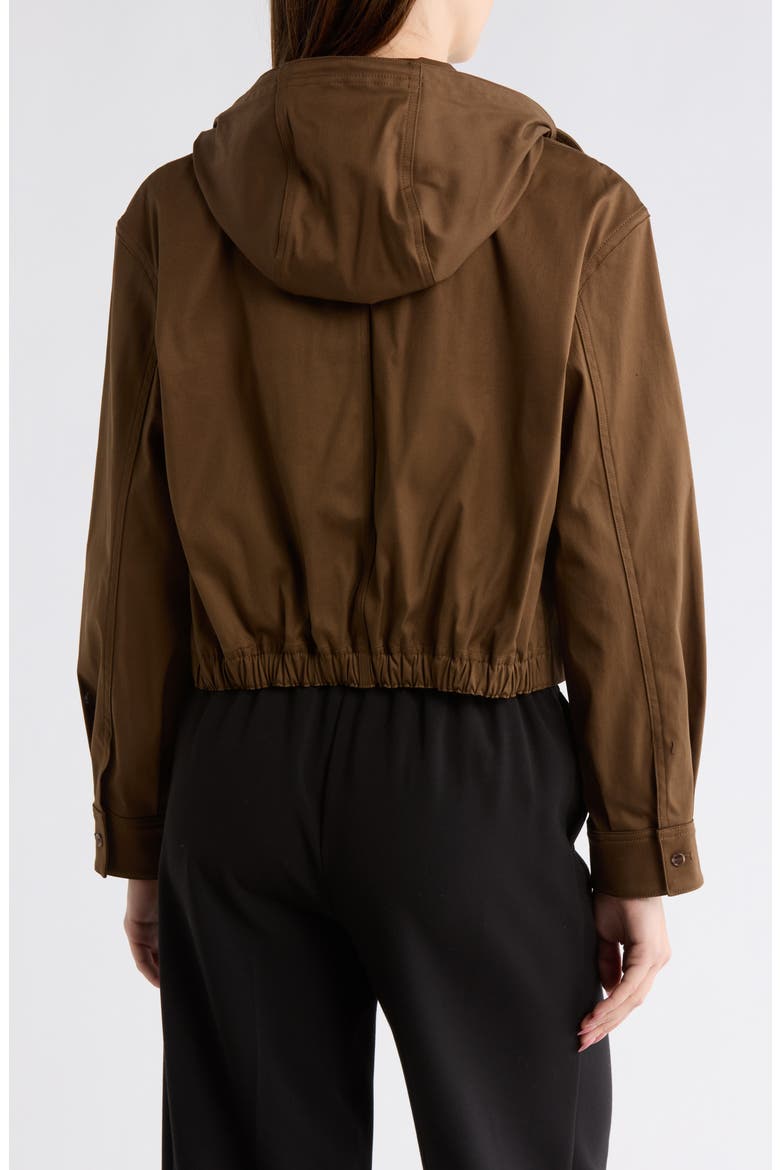 Hooded Crop Jacket, Alternate, color, CLOVE