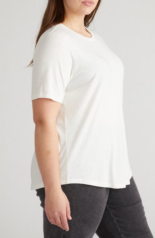 Universal Standard Light As Air Tee Rex T-shirt In Vapor