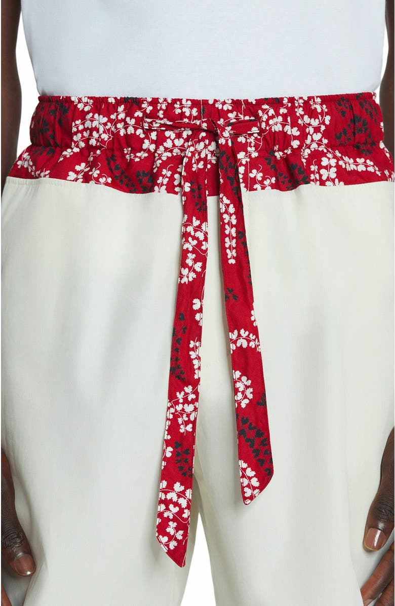 Lanvin Printed Cotton Shorts, Alternate, color, 