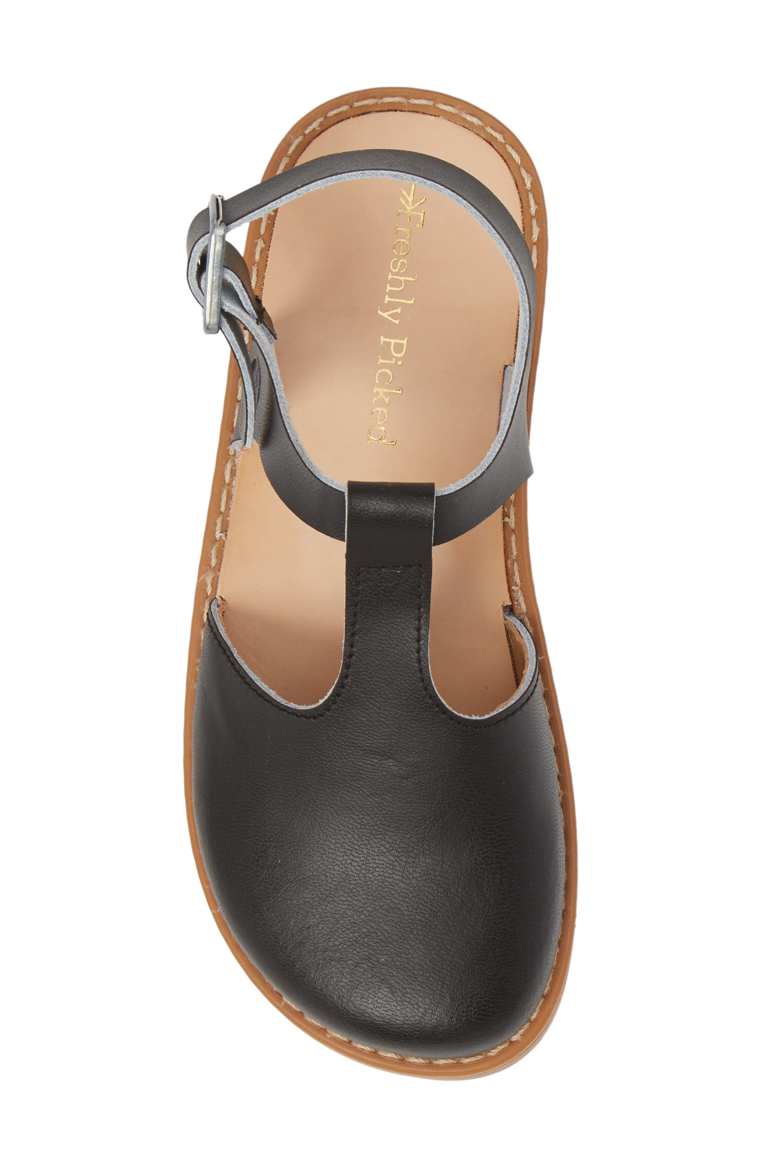 Freshly Picked Newport Clog Sandal, Alternate, color, 