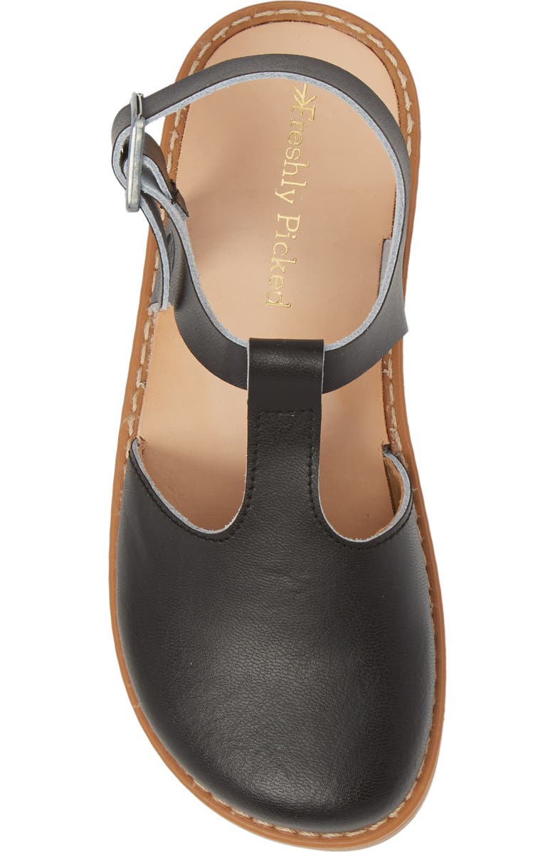 Freshly Picked Newport Clog Sandal, Alternate, color,