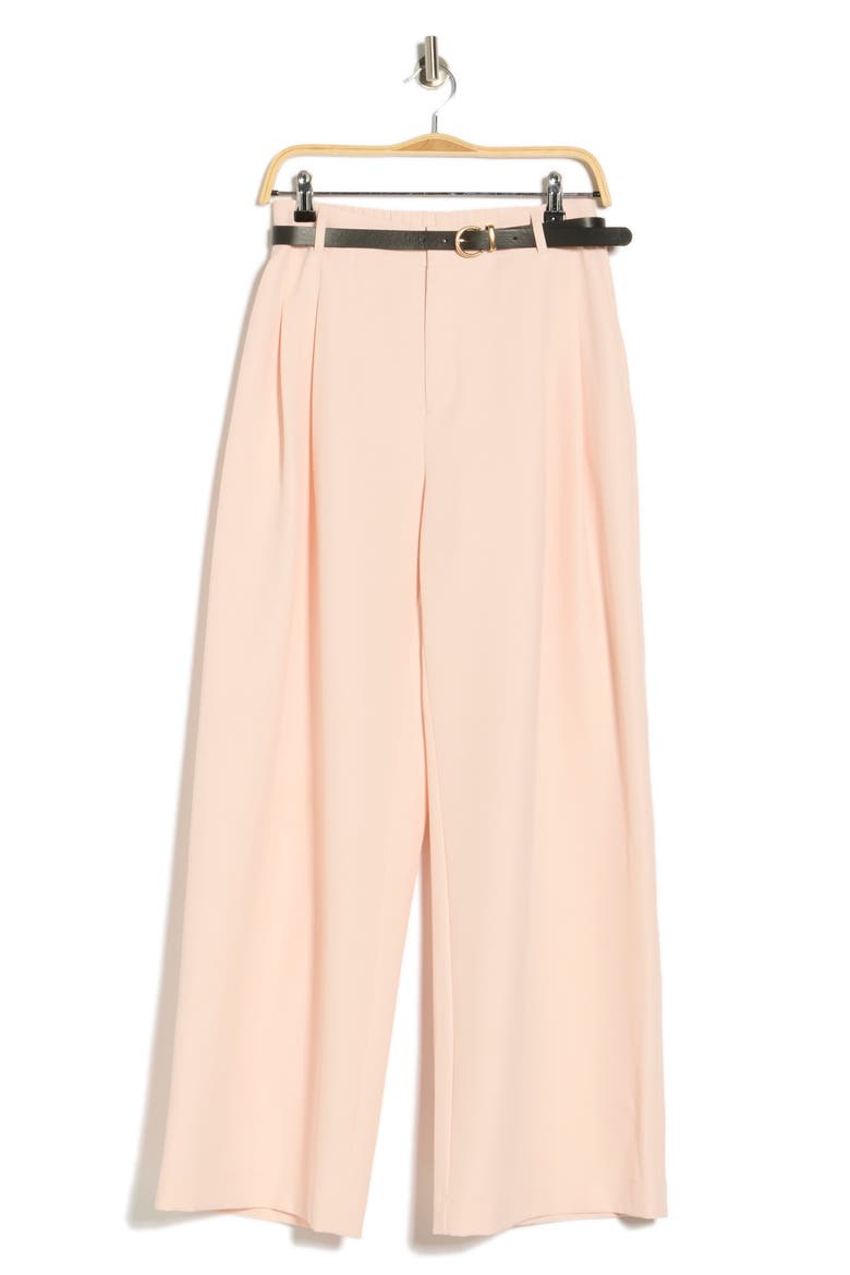 Double Pleat Wide Leg Pants, Alternate, color, PINK SHELL