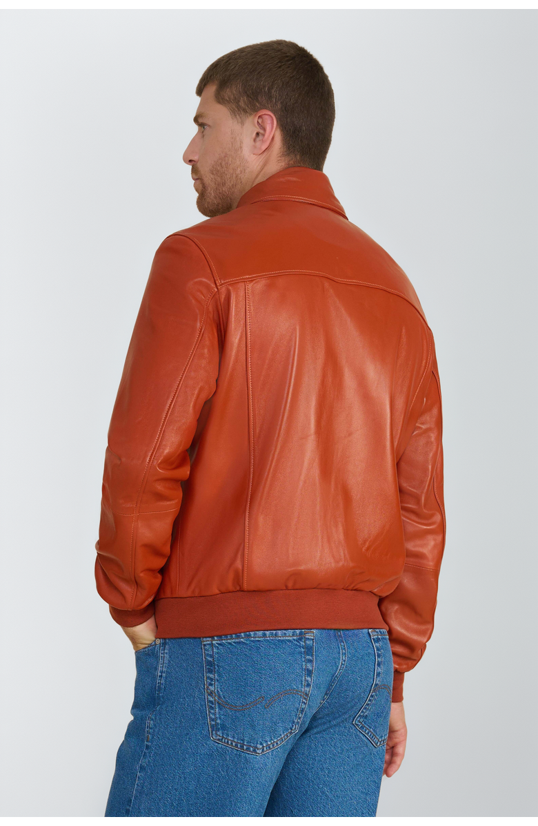Furniq UK Mason Leather Bomber Jacket, Alternate, color, Whiskey
