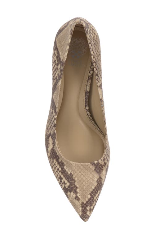 Shop Vince Camuto Kehlia Pointed Toe Pump In Taupe