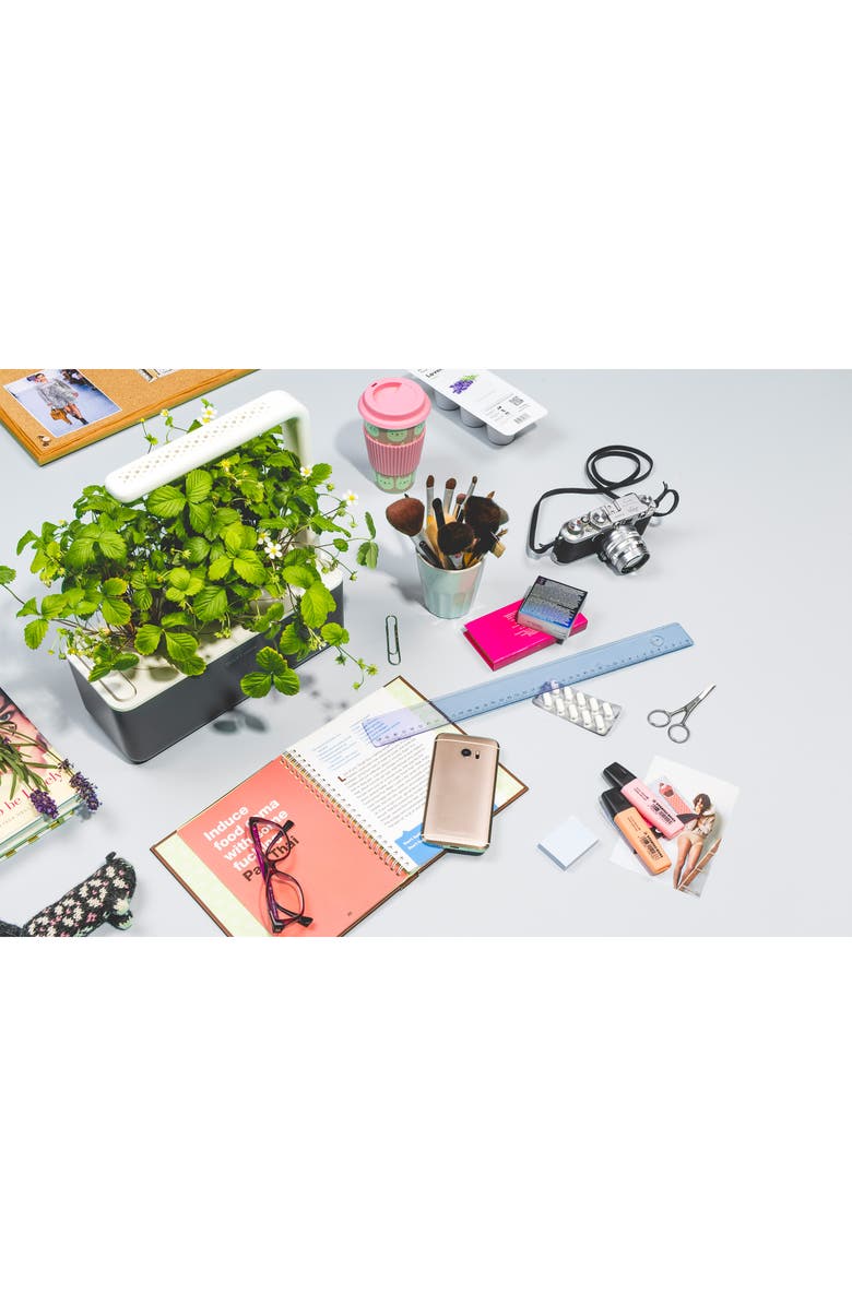 Click & Grow Smart Garden 3 Self Watering Indoor Garden, Alternate, color, Grey