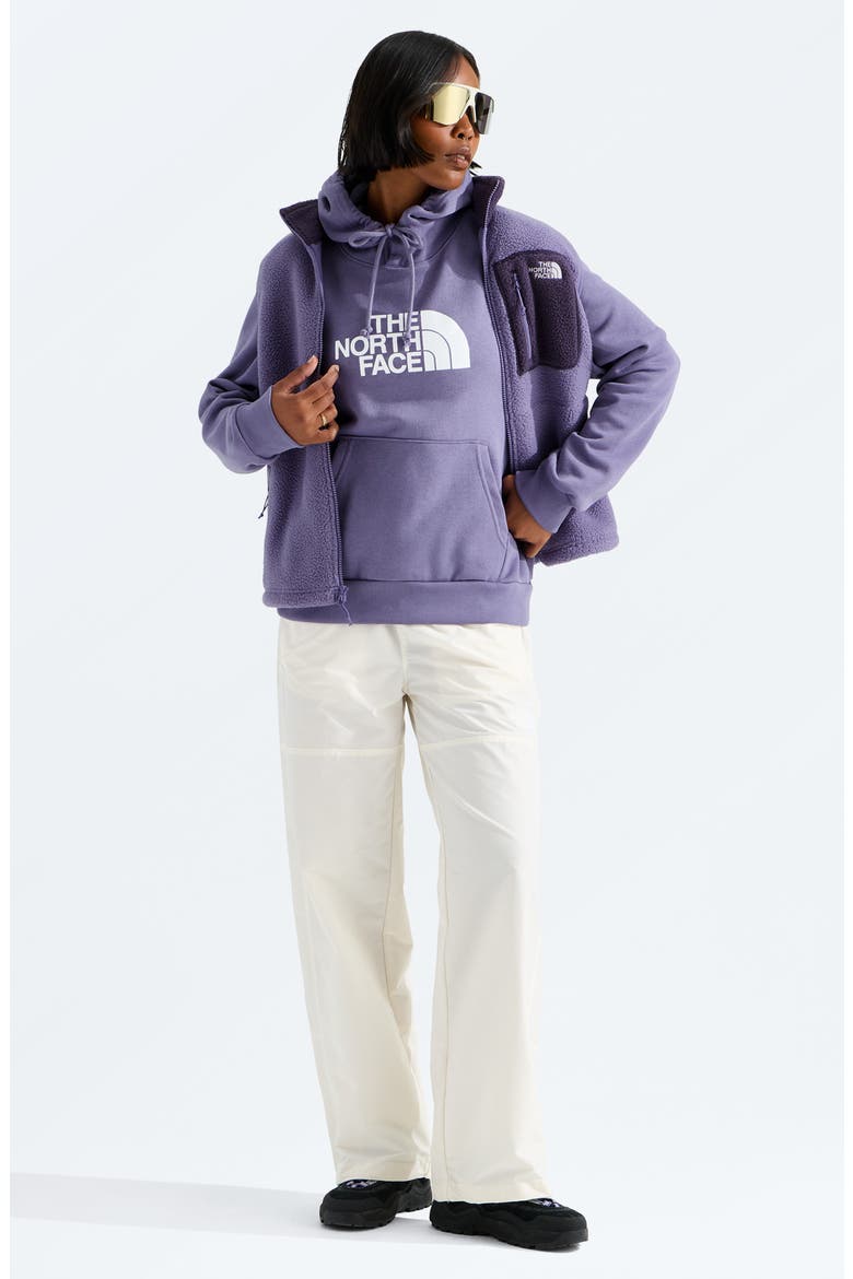 Evolution Half Dome Graphic Hoodie, Alternate, color, GROUNDED PLUM